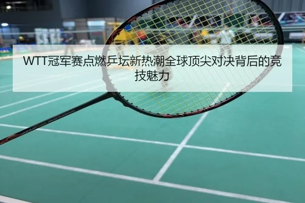 WTT冠军赛点燃乒坛新热潮全球顶尖对决背后的竞技魅力