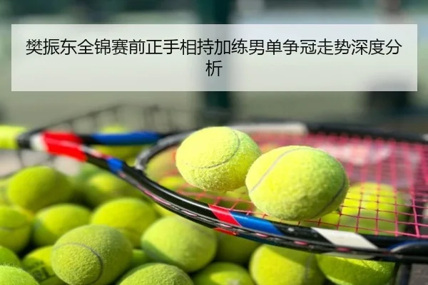 樊振东全锦赛前正手相持加练男单争冠走势深度分析
